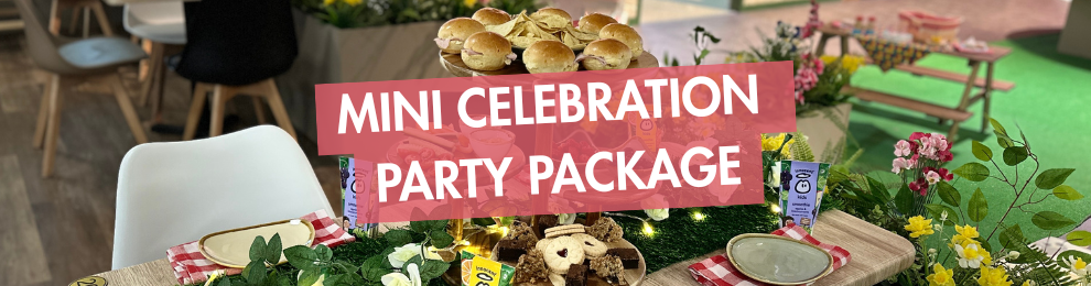 MIni Celebration Party Package